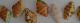 test3